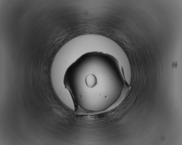 X0000098030320200804251421