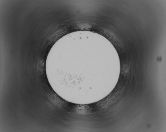 X0000098030321200804251421