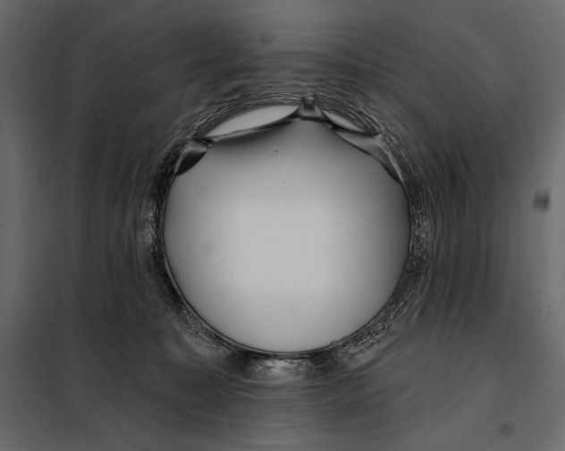 X0000098030323200804251421