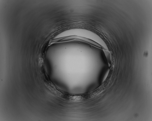 X0000098030324200804251421