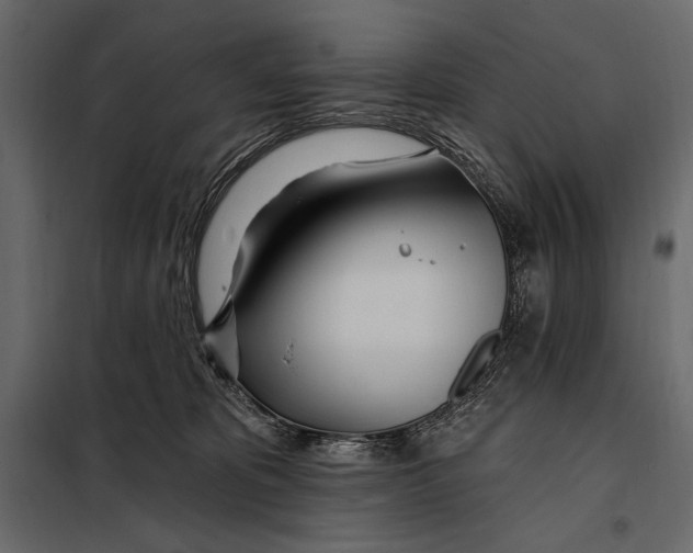 X0000098030325200804251421