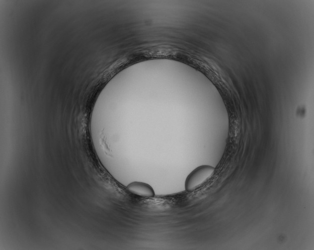 X0000098030326200804251421