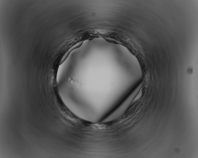 X0000098030328200804251421