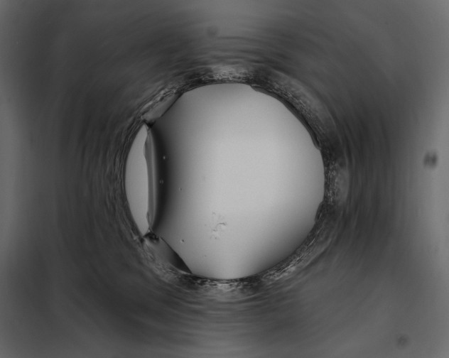 X0000098030329200804251421