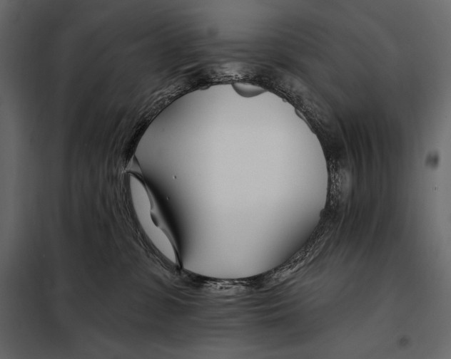 X0000098030331200804251421