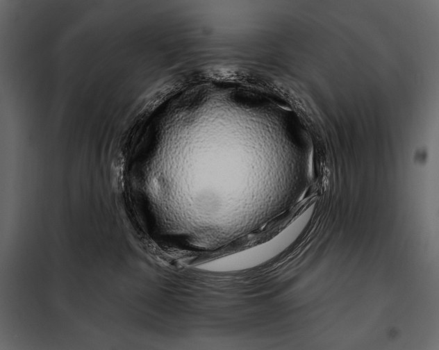 X0000098030332200804251421