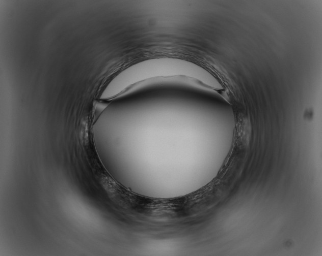 X0000098030333200804251421