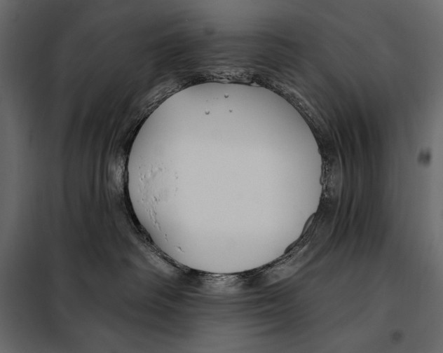 X0000098030334200804251421