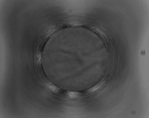 X0000098030336200804251421