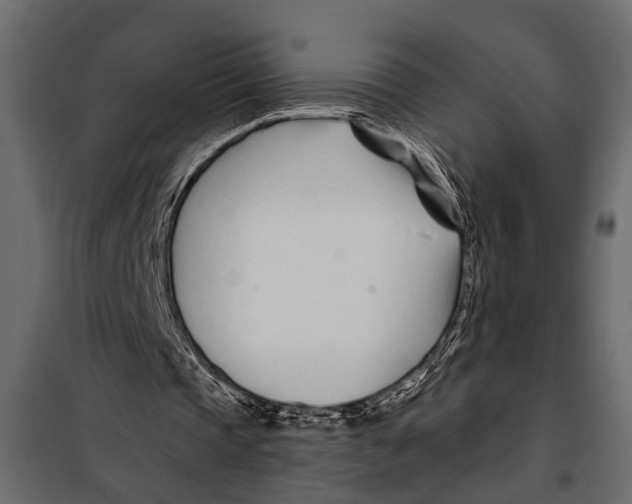 X0000098030337200804251420