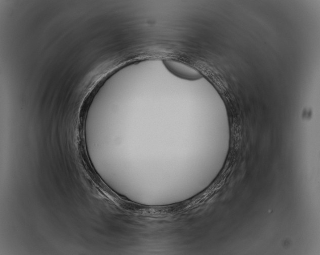 X0000098030338200804251420