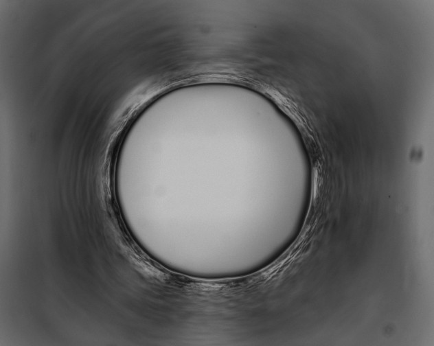 X0000098030339200804251420