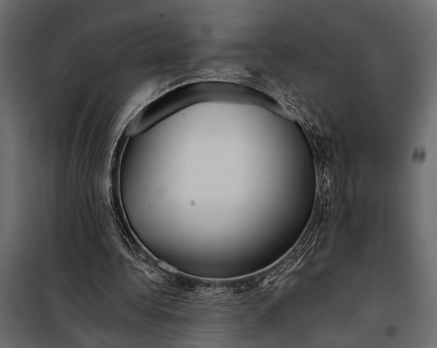 X0000098030340200804251420