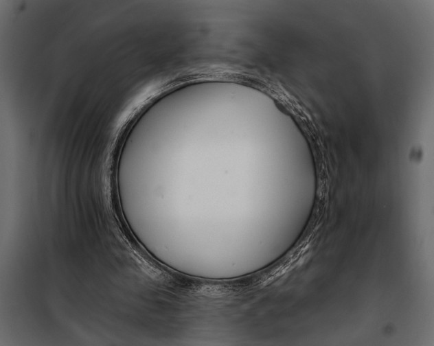 X0000098030341200804251420