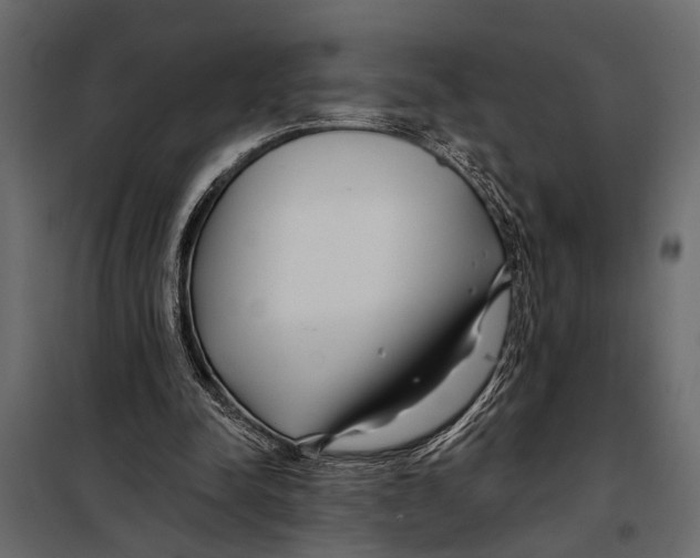 X0000098030342200804251420