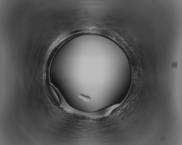 X0000098030344200804251420