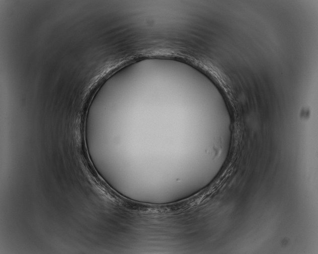 X0000098030345200804251420