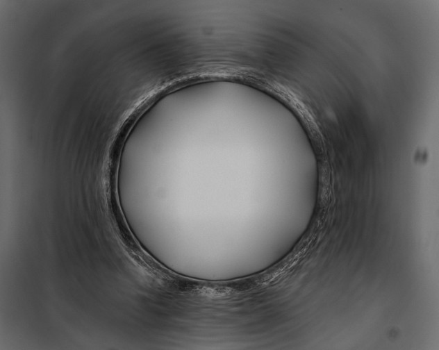 X0000098030346200804251420