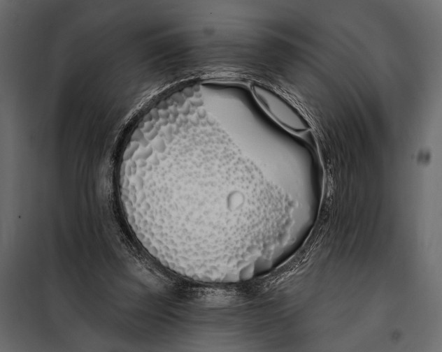 X0000098030347200804251420