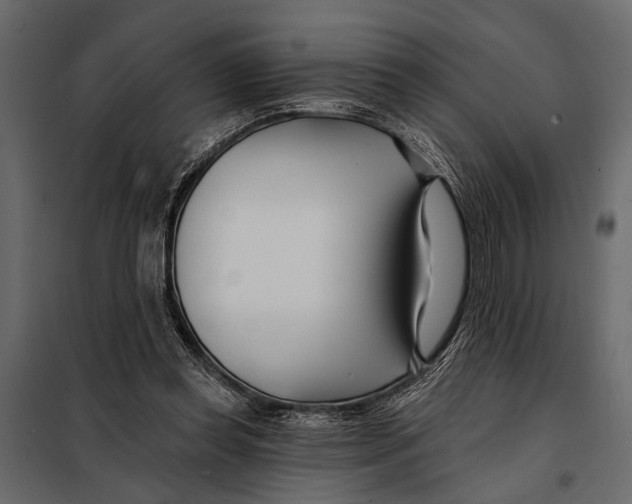 X0000098030349200804251420