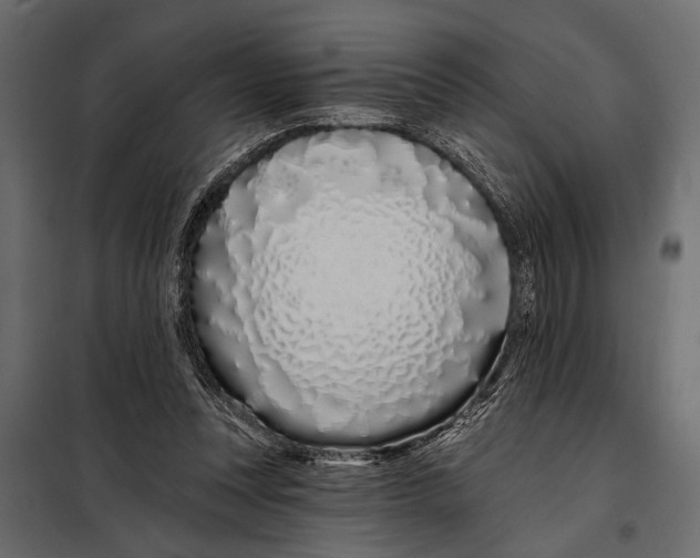 X0000098030351200804251420