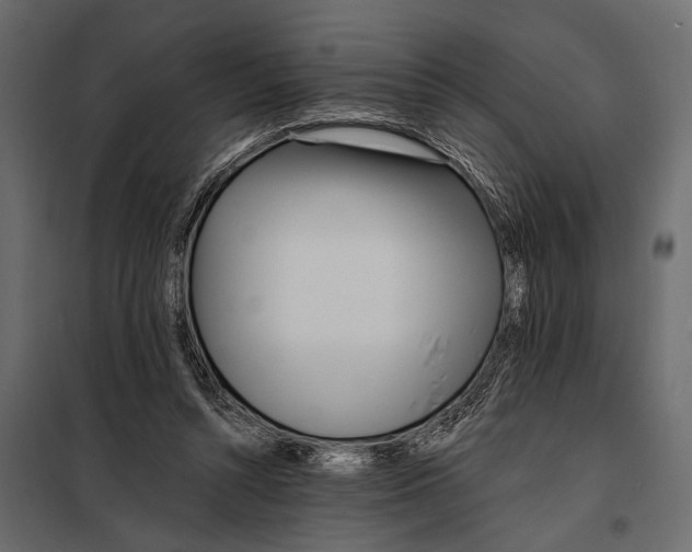 X0000098030352200804251420