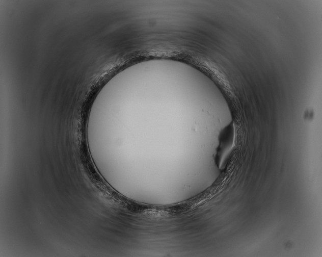 X0000098030354200804251420