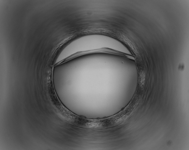 X0000098030356200804251420