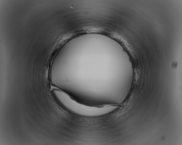 X0000098030357200804251420