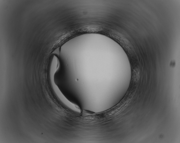 X0000098030358200804251420