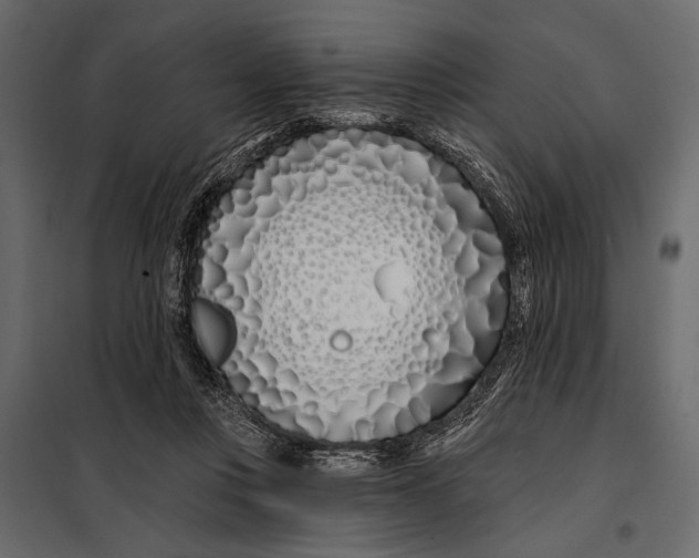 X0000098030359200804251420