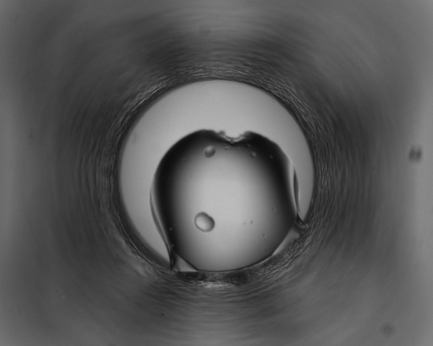 X0000098030360200804251420