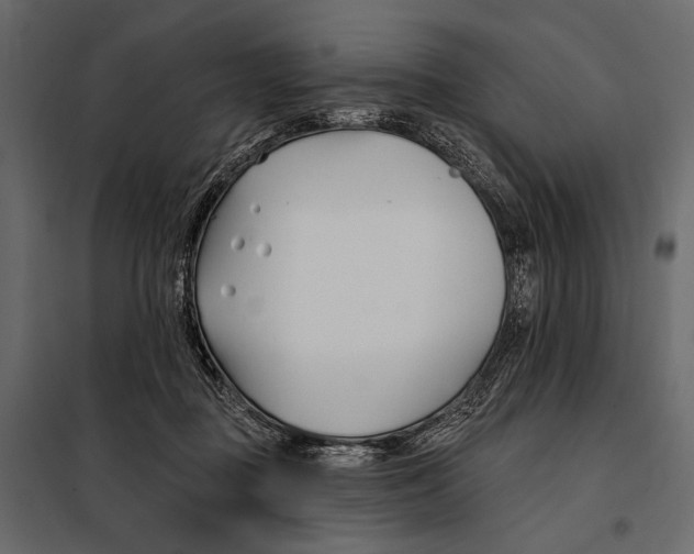 X0000098030363200804251420