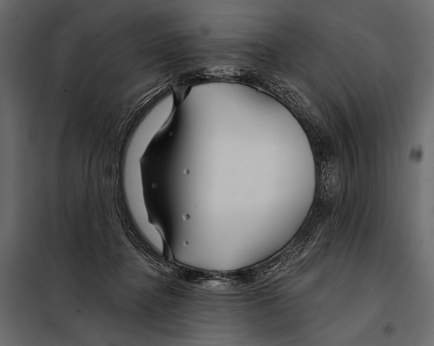 X0000098030364200804251420