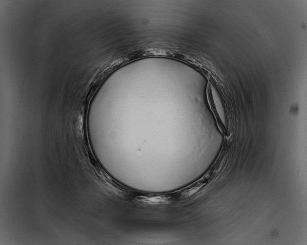 X0000098030365200804251420