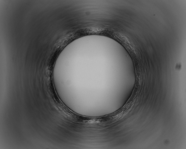 X0000098030366200804251420