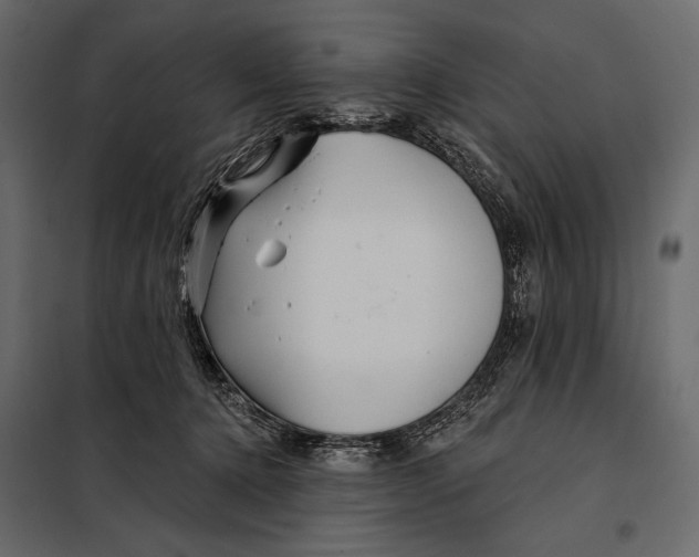 X0000098030368200804251420