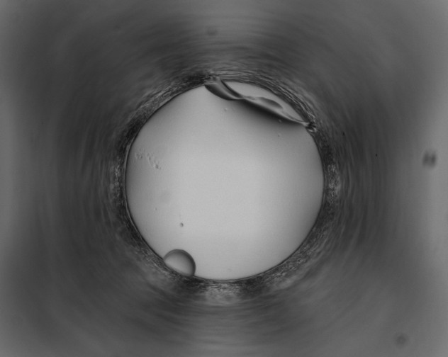 X0000098030369200804251420