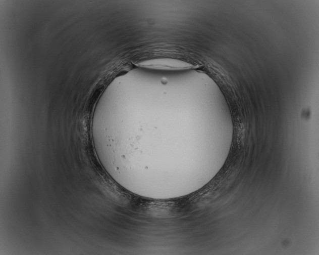 X0000098030373200804251420