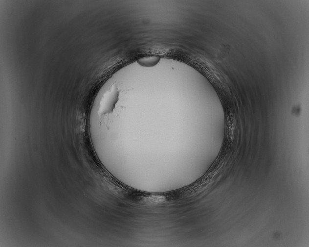 X0000098030374200804251420