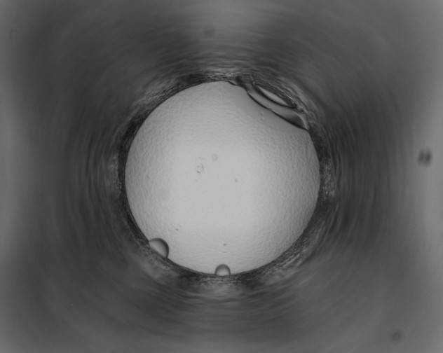 X0000098030377200804251421