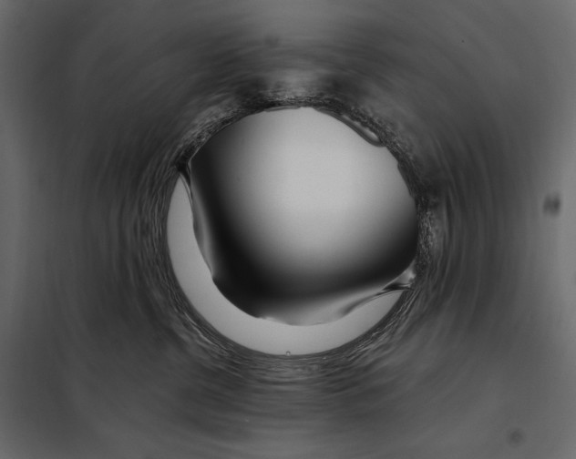 X0000098030380200804251421