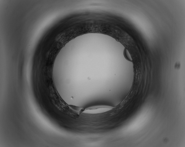 X0000098030383200804251421