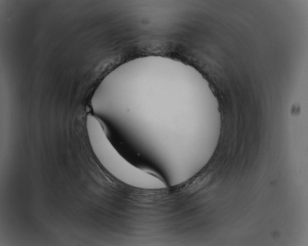 X0000098030384200804251421