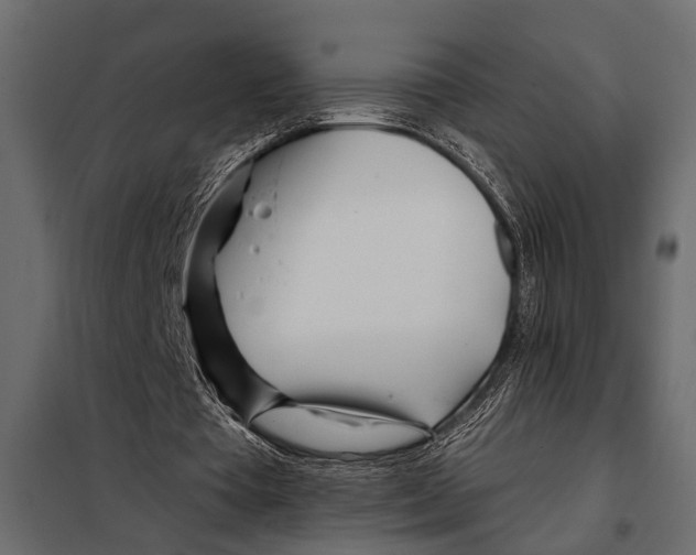 X0000098030385200804251420