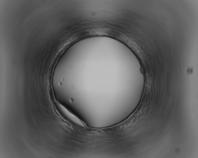 X0000098030386200804251420