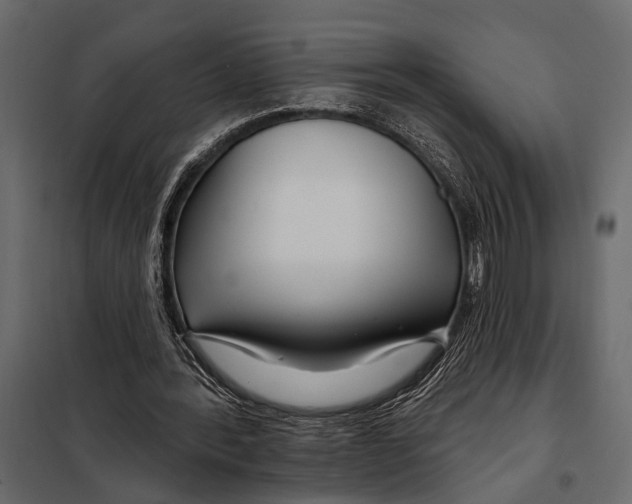 X0000098030388200804251420