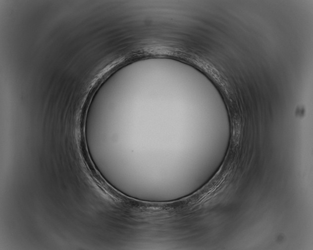 X0000098030390200804251420