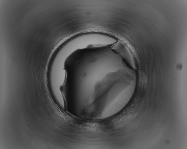 X0000098030391200804251420