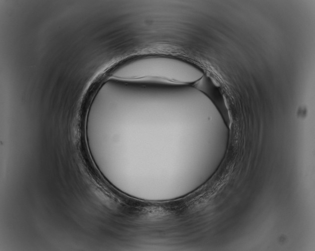 X0000098030392200804251420